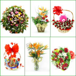 FLORICULTURAS Lagoa Santa, cestas de café da manhã e coroas de flores